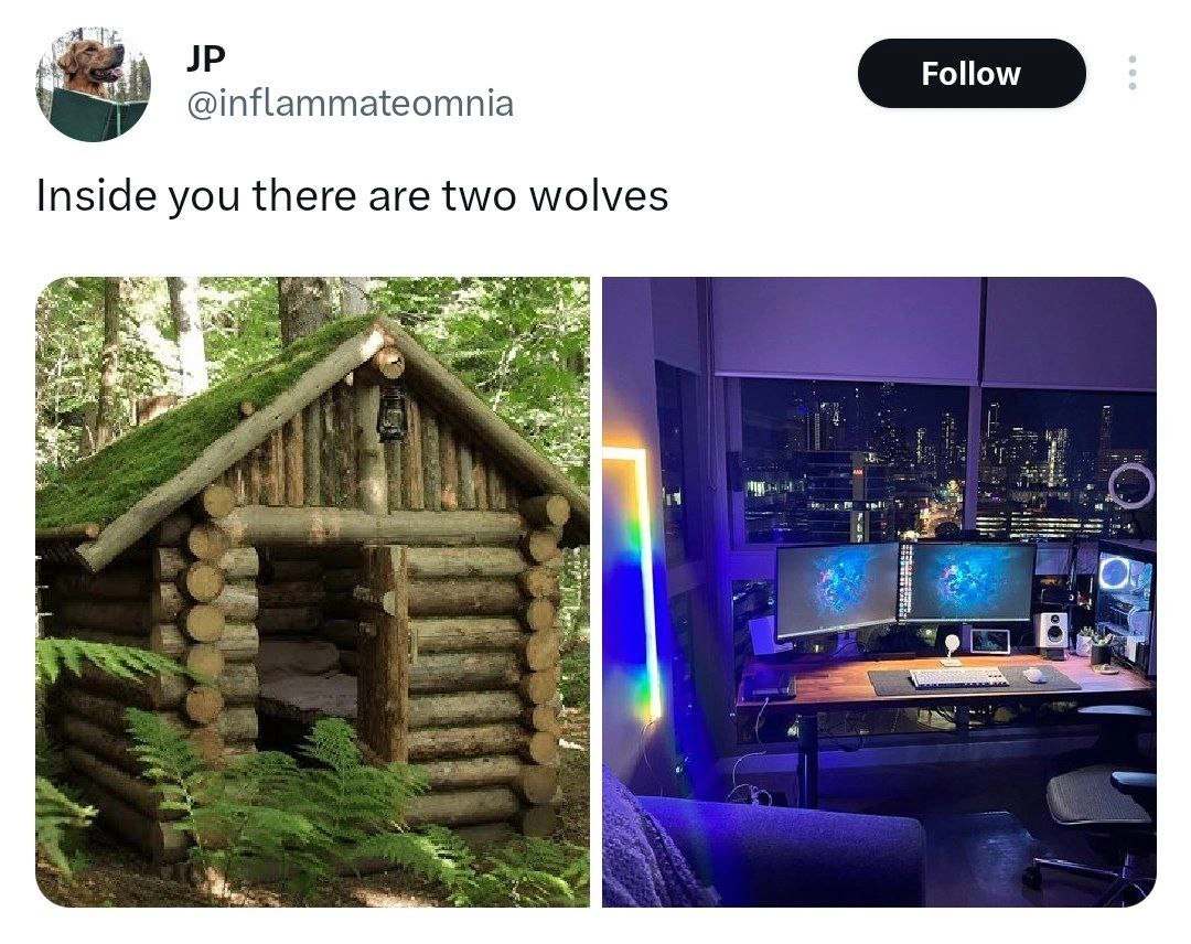 Torn Between Mossy Forest Cabin and Neon Multi-Monitor Battlestation Within