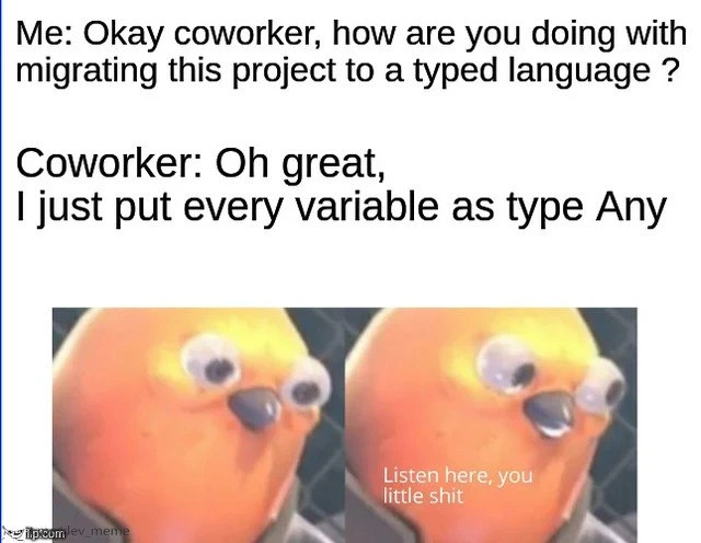 The Illusion of Type Safety: The 'Any' Type Shortcut