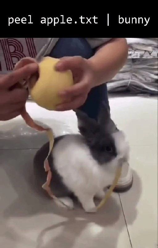 Unix Pipe Command Visualized: Peeling Apple Over Bunny as Data Processing