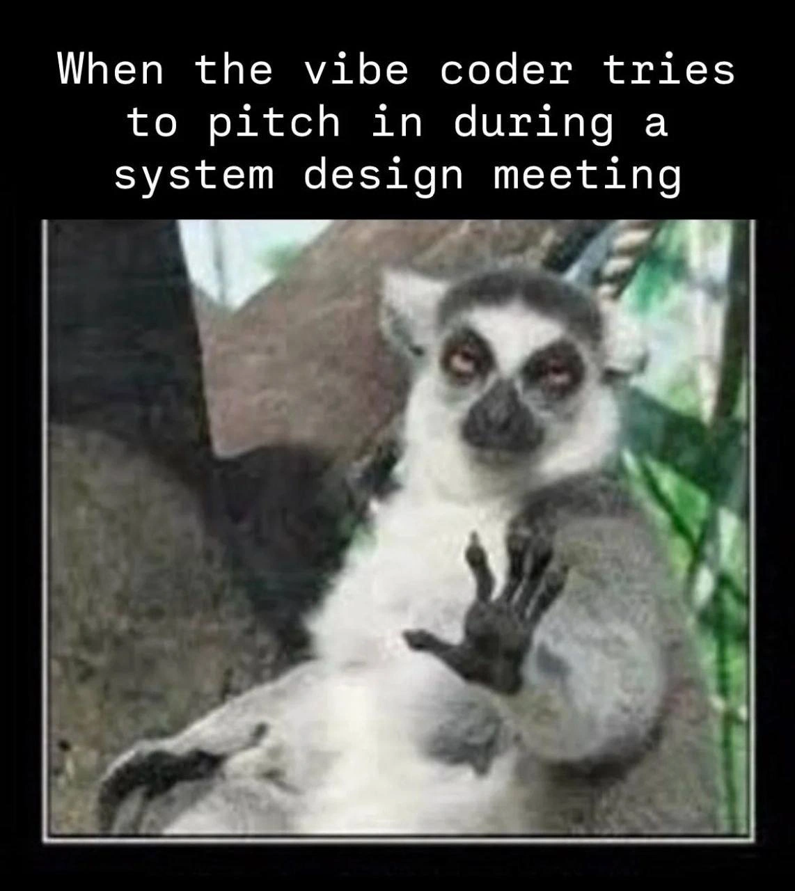Vibe Coder Raises a Paw in the System Design Meeting