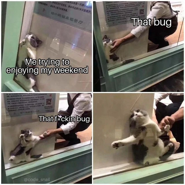 The Persistent Bug That Haunts Your Weekend