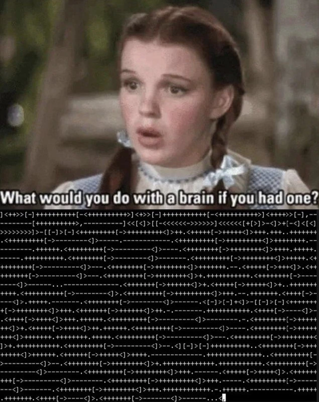 When Dorothy Asks About Your Esoteric Language Choices