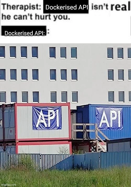 Dockerised API: Therapist Meme With Literal Shipping Containers Labeled API