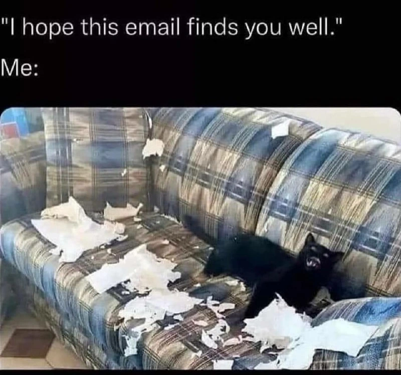 The Disconnect Between a User's Bug Report and Reality
