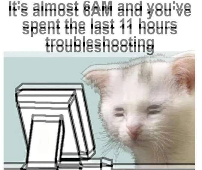 Tired Cat at Computer After 11 Hours of Troubleshooting at 6AM