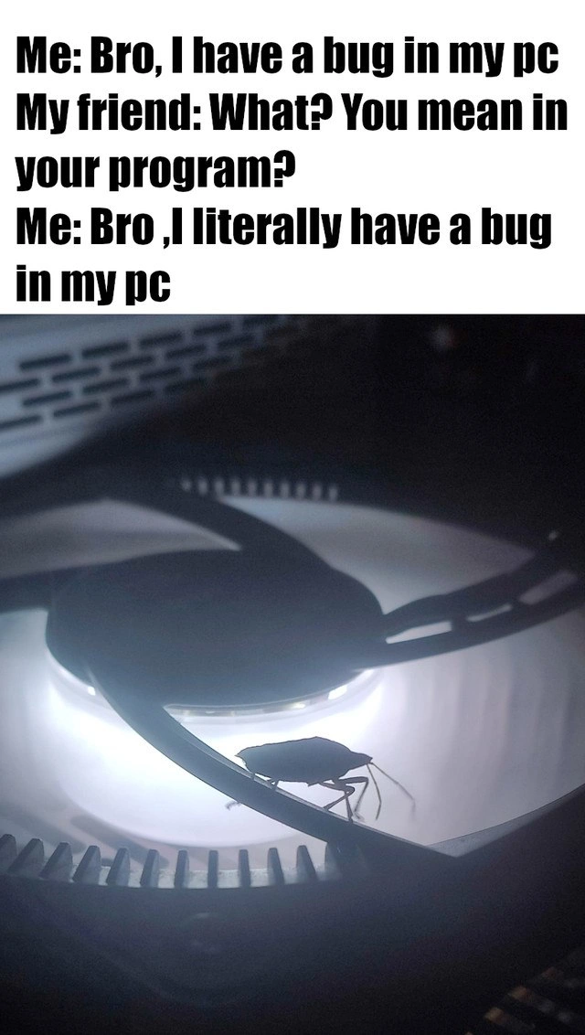 When your reported bug turns out to be a literal insect inside