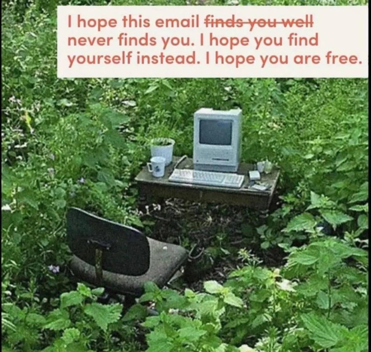The Ultimate Escape from 'I Hope This Email Finds You Well'