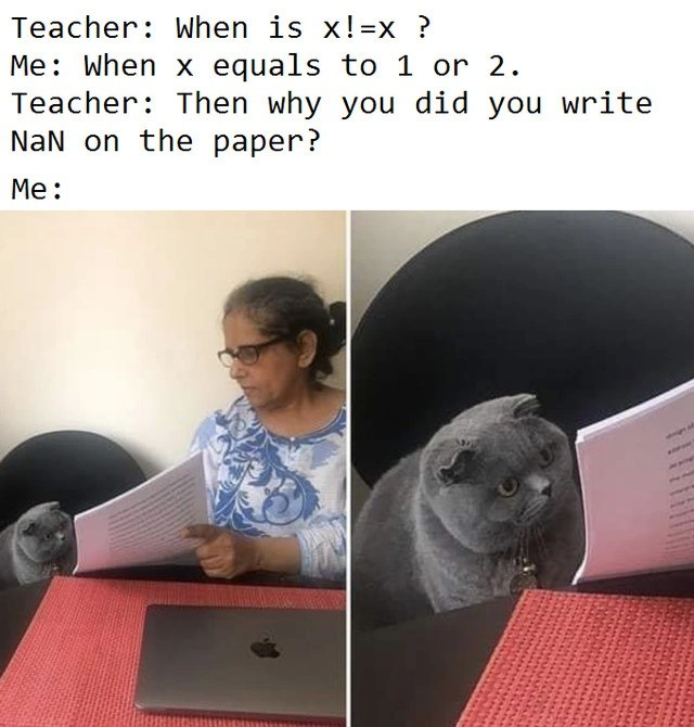 Realizing x != x for NaN triggers the cat-stare during code review