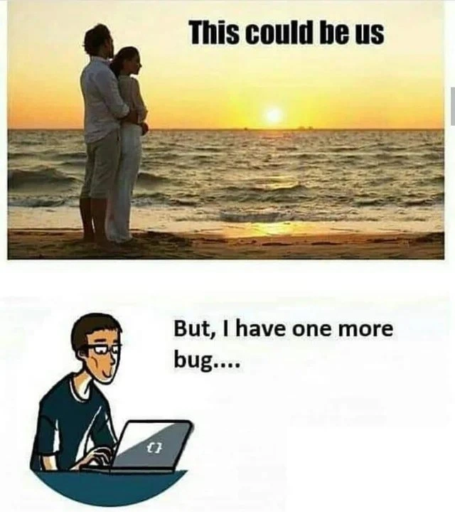 The Programmer's Eternal Dilemma: Sunsets vs. Bugs