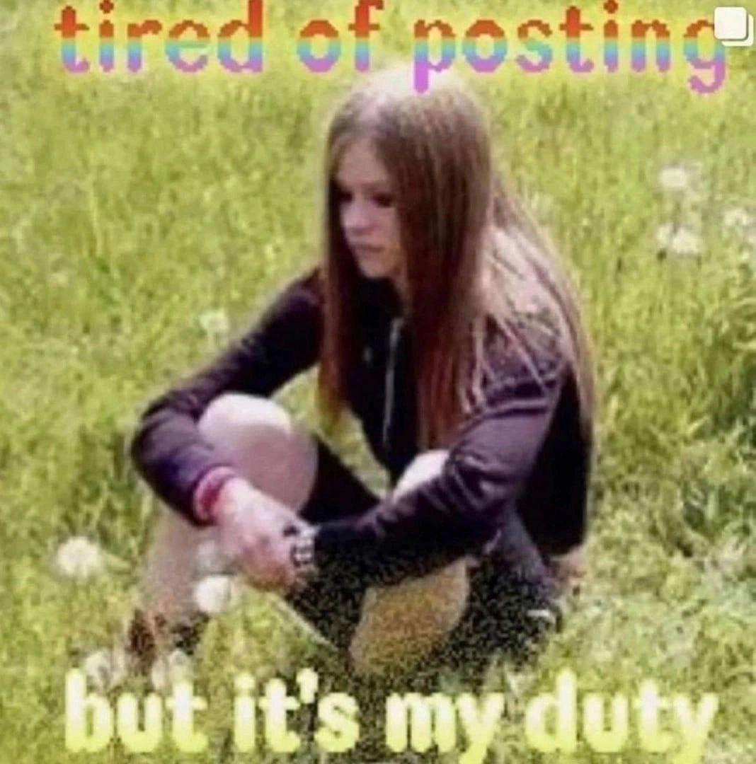 Exhausted meme curator who still feels obligated to keep posting for devs