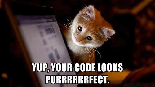 The Ultimate, Unbiased Code Reviewer