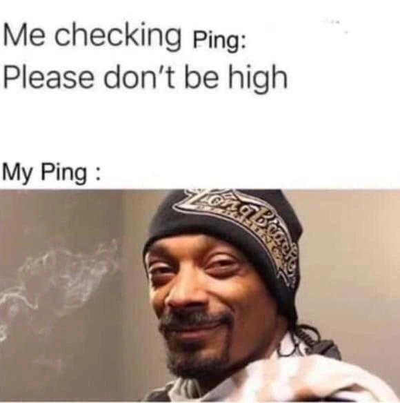 When Your Network Latency is as High as Snoop Dogg