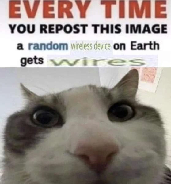 Reposting this meme converts random wireless gear to cable-tethered, cat approves