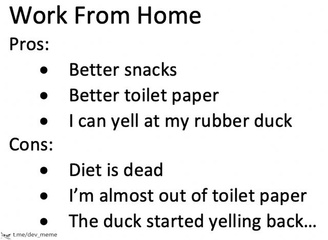 Work-From-Home Pros vs Cons: When the Rubber Duck Starts Yelling Back