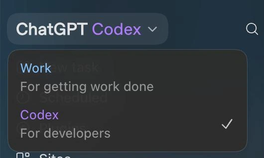 Work Is for Work; Codex Is for Developers