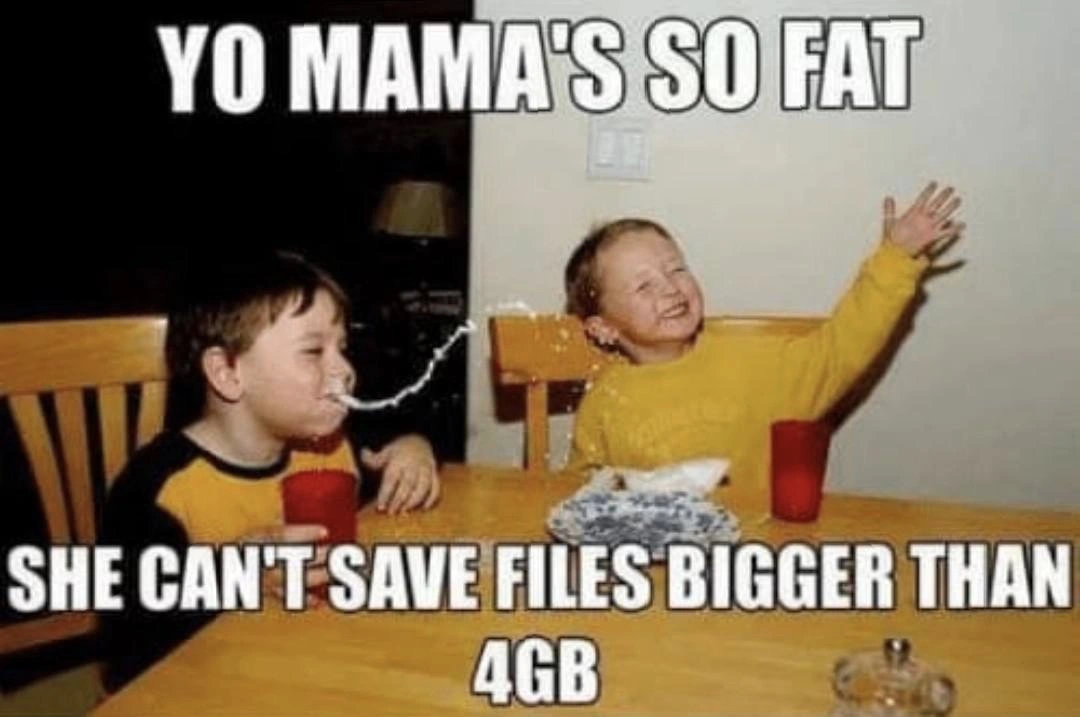 A Classic 'Yo Mama' Joke Updated for File System Limitations