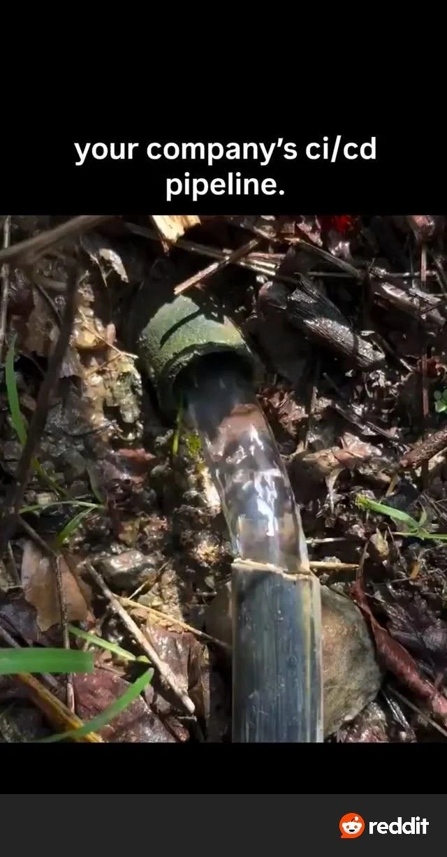 Your Company's CI/CD Pipeline: A Muddy Hose in the Woods