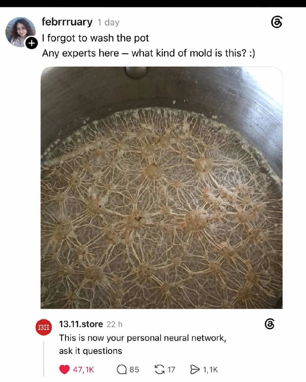 Your Forgotten Pot Has Achieved Neural Architecture
